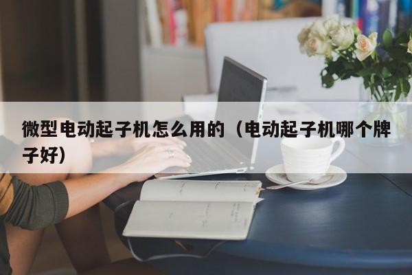 微型电动起子机怎么用的（电动起子机哪个牌子好）