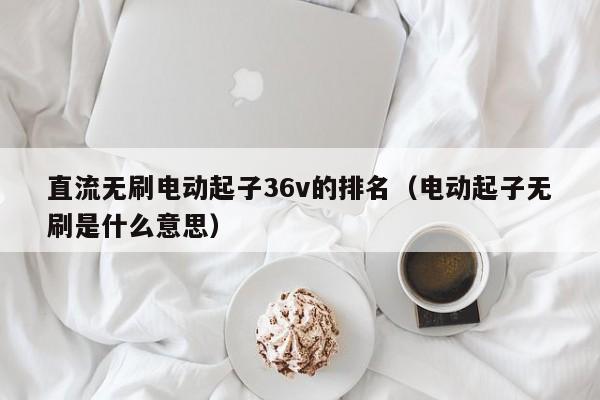 直流无刷电动起子36v的排名（电动起子无刷是什么意思）