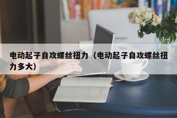 电动起子自攻螺丝扭力（电动起子自攻螺丝扭力多大）