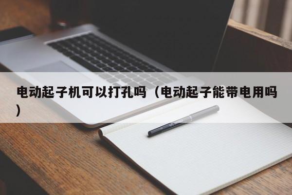 电动起子机可以打孔吗（电动起子能带电用吗）