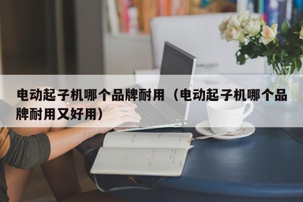 电动起子机哪个品牌耐用（电动起子机哪个品牌耐用又好用）