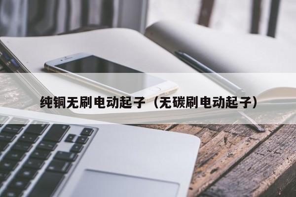 纯铜无刷电动起子（无碳刷电动起子）