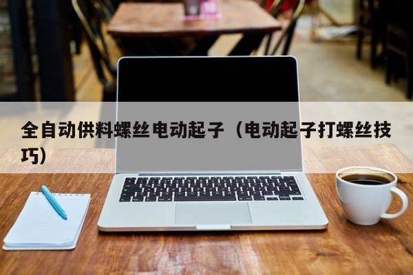 全自动供料螺丝电动起子（电动起子打螺丝技巧）